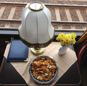 A lounge table setting on the Danube Express