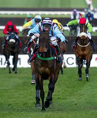 Enjoy the thrill and excitement of a day at the races