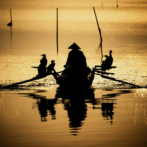 Chinese Cormorant Fisherman Chinese Cormorant Fisherman