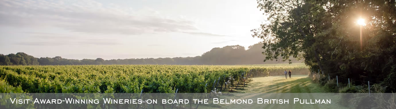 Visit award winning wineries on Belmond British Pullman