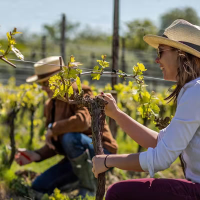 Wine tasting excursion on the Belmond British Pullman