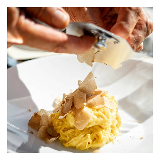 Savour truffles on this journey Truffle gourmet
