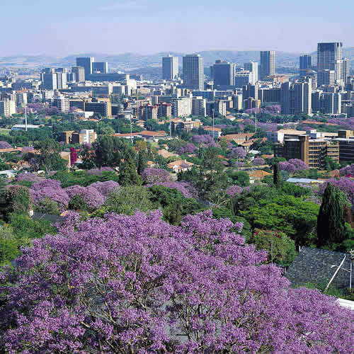 Pretoria to Cape Town on the Blue Train