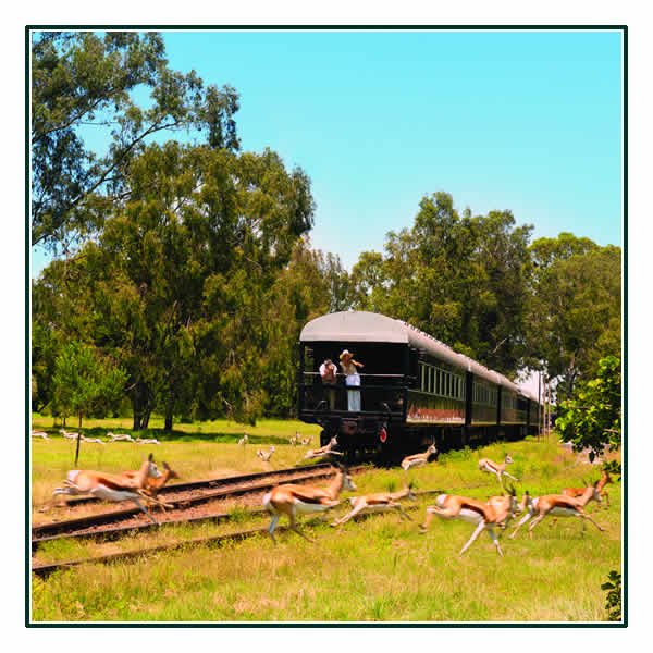 Enjoying the view from the Rovos Rail Observation Deck